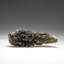 Genuine Moldavite Tektite (13.1 grams)