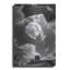 Luxe Metal Art 'Urban Sky II' By Sebastien Lory, M " Urban Sky II " by Sebastien Lory-101127335