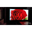 Spectrum Écrans wall/ceiling projection screen-101123122