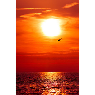 " Sunset " by Bovalentino