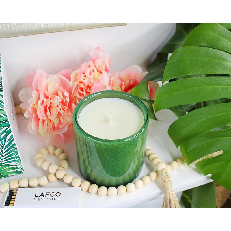 House and Home 15.5oz Jungle Bloom Signature Candle - Treehouse, 6.5 oz.