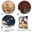 «Horse Barnyard Harmony», reproduction d'art sur toile-1158430868-1158430824