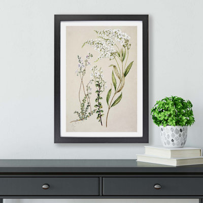 Veronica Flowers - Framed Print