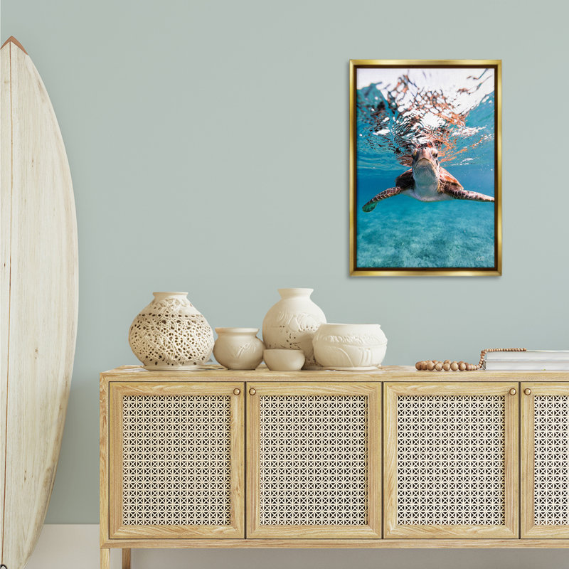 «Hello Sea Turtle Splash Floater» par Max Blakesberg Studios, H 31 po x l 21 po, Cadre flottant métallique doré