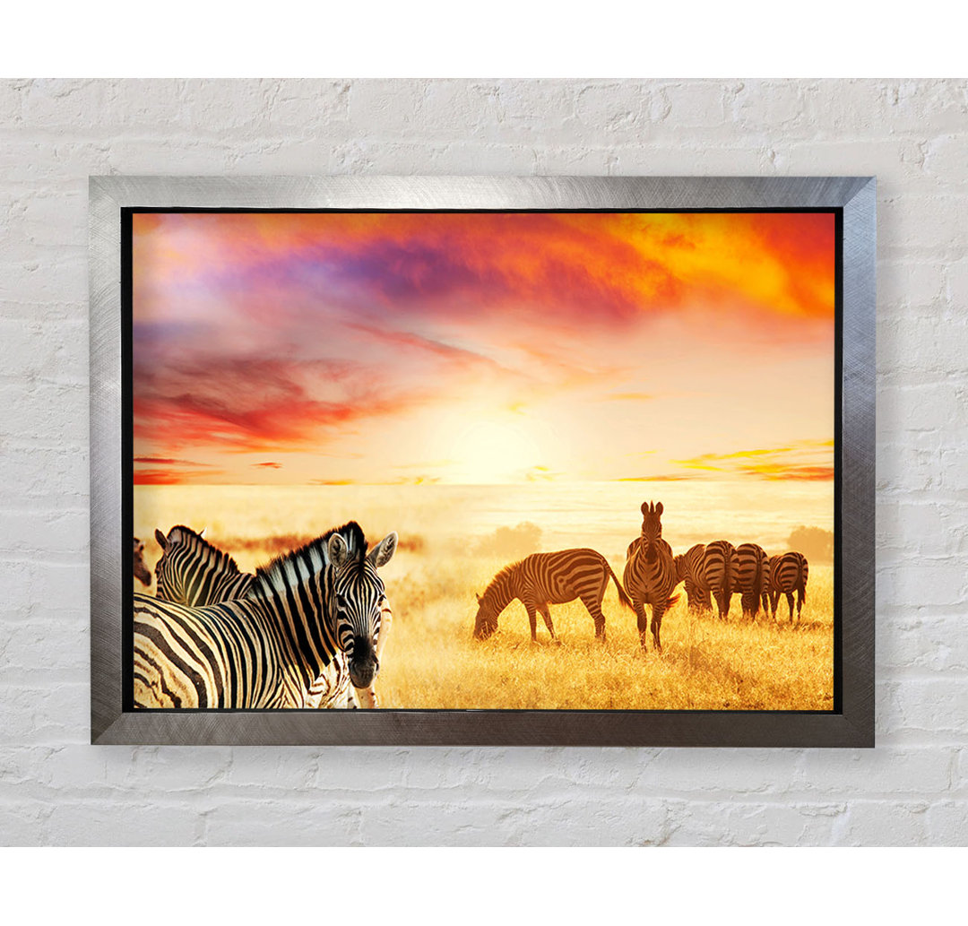 Zebra Sonnenuntergang Safari - Einzelne Bilderrahmen Kunstdrucke