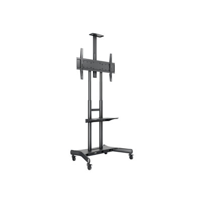 Throckmorton Symple Stuff Multi-Screen Floor Stand Mount