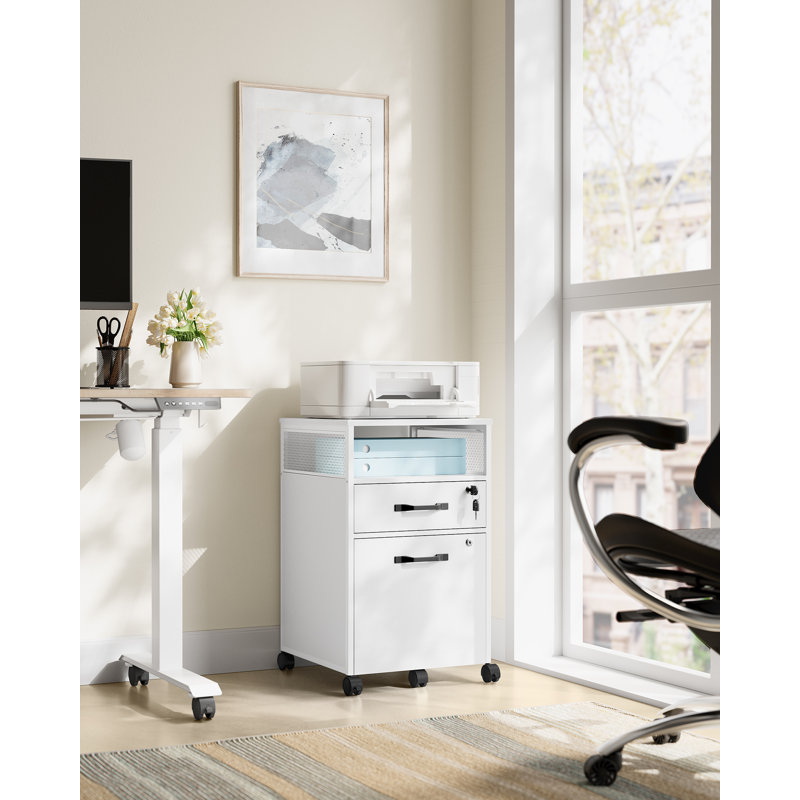Annya 2 Drawer Filing Cabinet, White