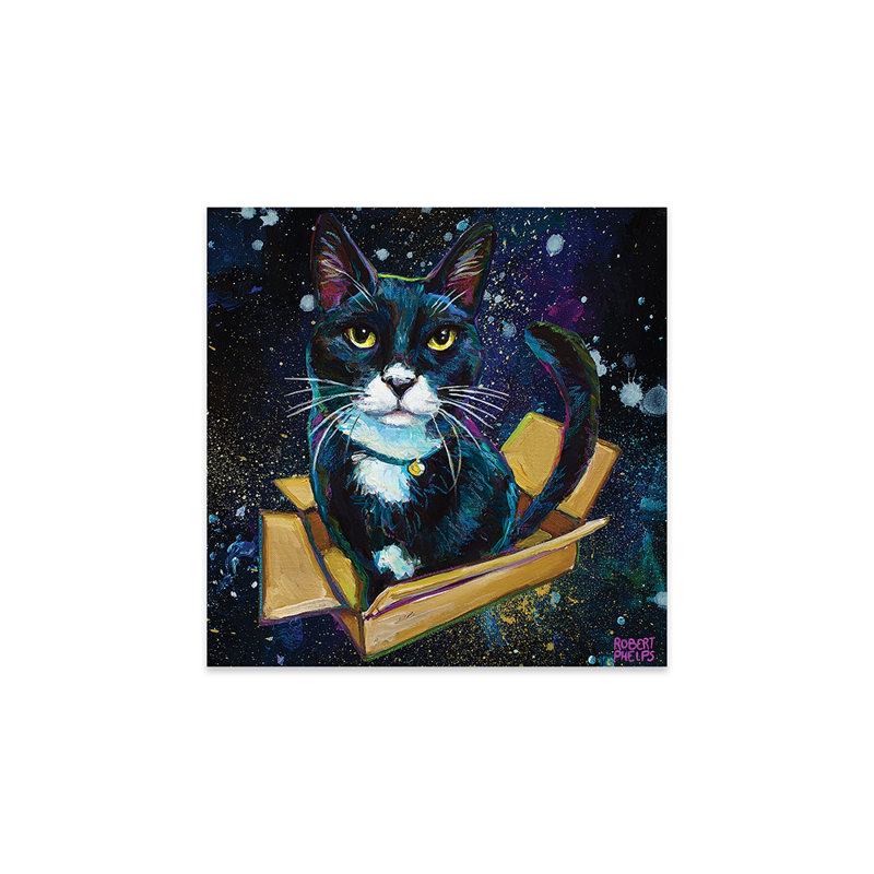 Chat tuxedo dans l'espace