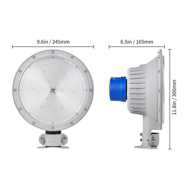 Nyzere LED Wall Light, 100