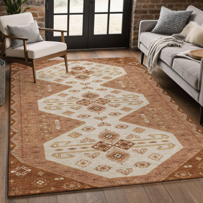 Machine Washable Indoor/Outdoor Chantille ACN2565 Global Rug