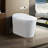 Eunoia Modern Smart Toilet With Auto Open/Close, Foot Sensor, And Self-Cleaning Nozzle