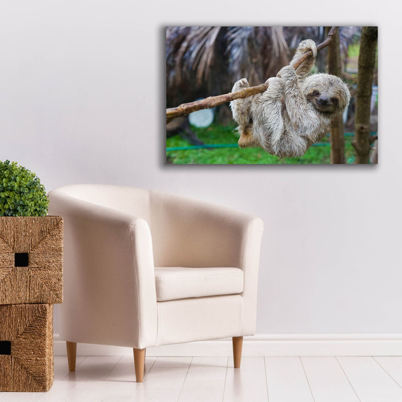 «Baby Sloth» par Epic Graffiti Portfolio, H 26 po x l 40 po x P 1,5 po