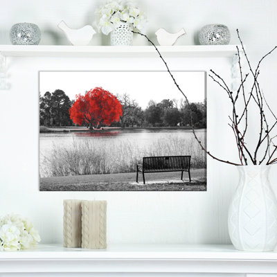 " Empty Bench Overlooking Red Tree "