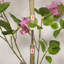 Bougainvillée artificiel