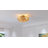 Corabelle 15" 7-ABS Transparent Blade Classic Ceiling Fan Light, RGB Immersive Lighting Effect, APP/Six-Speed Intelligent Control
