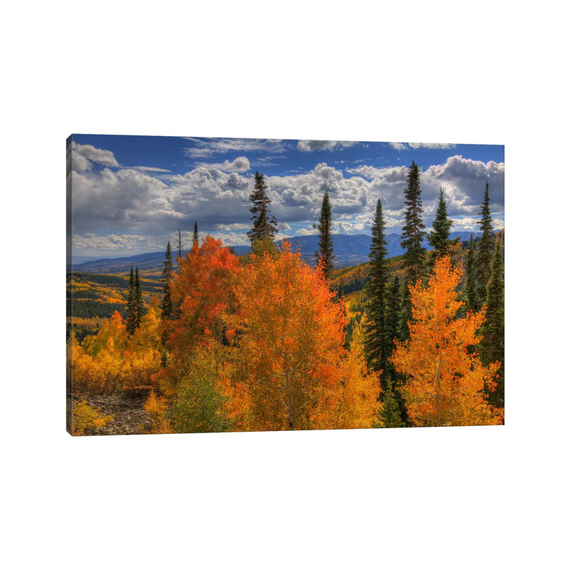 Autumn Fire At Ohio Pass by Bill Sherrell - Gallery-Wrapped Canvas Giclée on Canvas, Canvas, 30.48 cm H x 45.72 cm W
