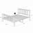 Metal Platform Bed