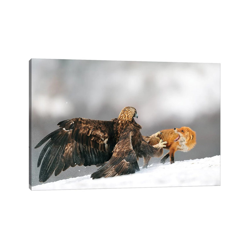 Golden Eagle And Red Fox by Yves Adams - Wrapped Canvas Gallery-Wrapped Canvas Giclée, 66.04 cm H x 45.72 cm W x 1.91 cm D