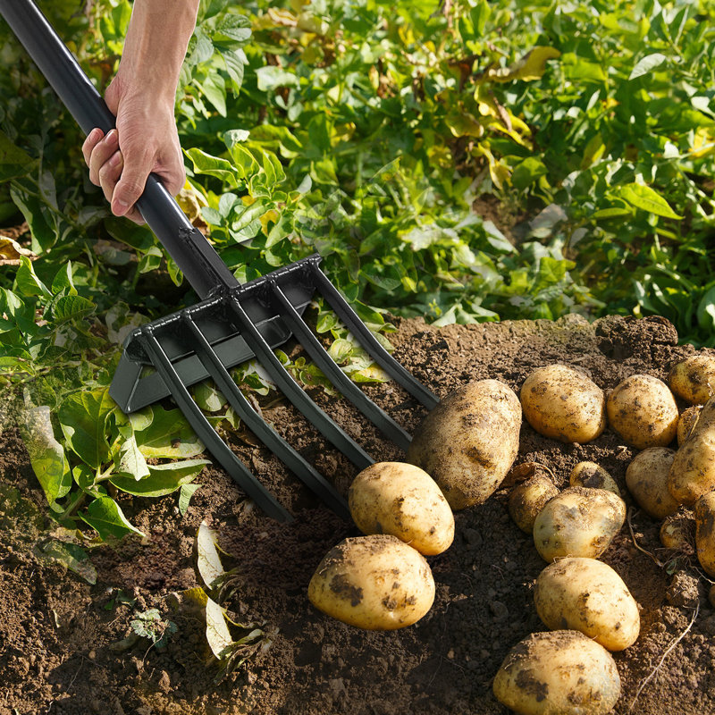 Fourche de jardin à 5 dents avec poignée en métal 41 po