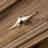 Brownness Manufactured Wood+Glass Display Cases