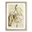 Magnolia Flowers Illustration Tab. 66 by Frederick Sander - Picture Frame Painting Print-55760207-55760211