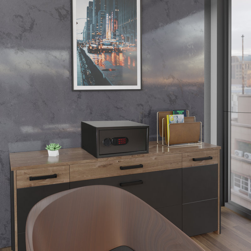 Coffre-fort de sécurité Sanctuary Home & Office avec serrure électronique, H 10 po x l 20 po x P 14,50 po
