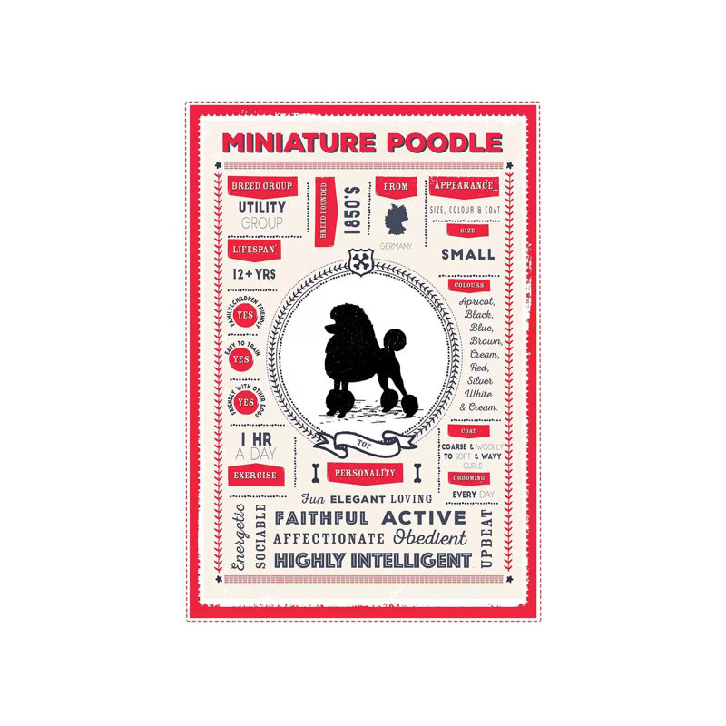 «Miniature Poodle Infographie Red» par PaperPaintPixels, impression sur toile tendue, H 60 po x l 40po x P 1,5 po
