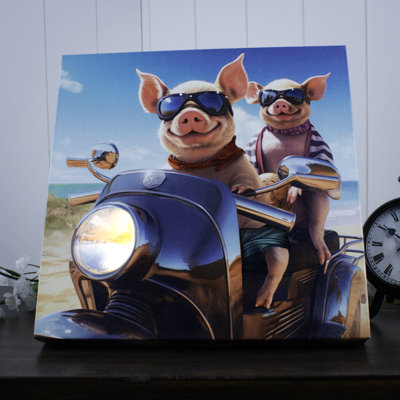 Cochon en fibre optique 10 x 10