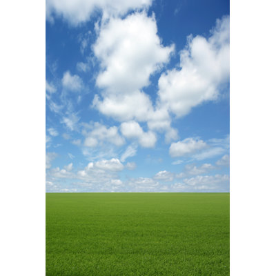 Green Grass Field par Sharplie_Done