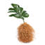 12" Vetiver Decorative Sculpture