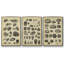 Study of Shells I - Ensemble de 3 reproductions encadrées sur toile-97945968-97945969