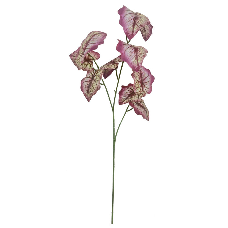 Andwele Arrangement