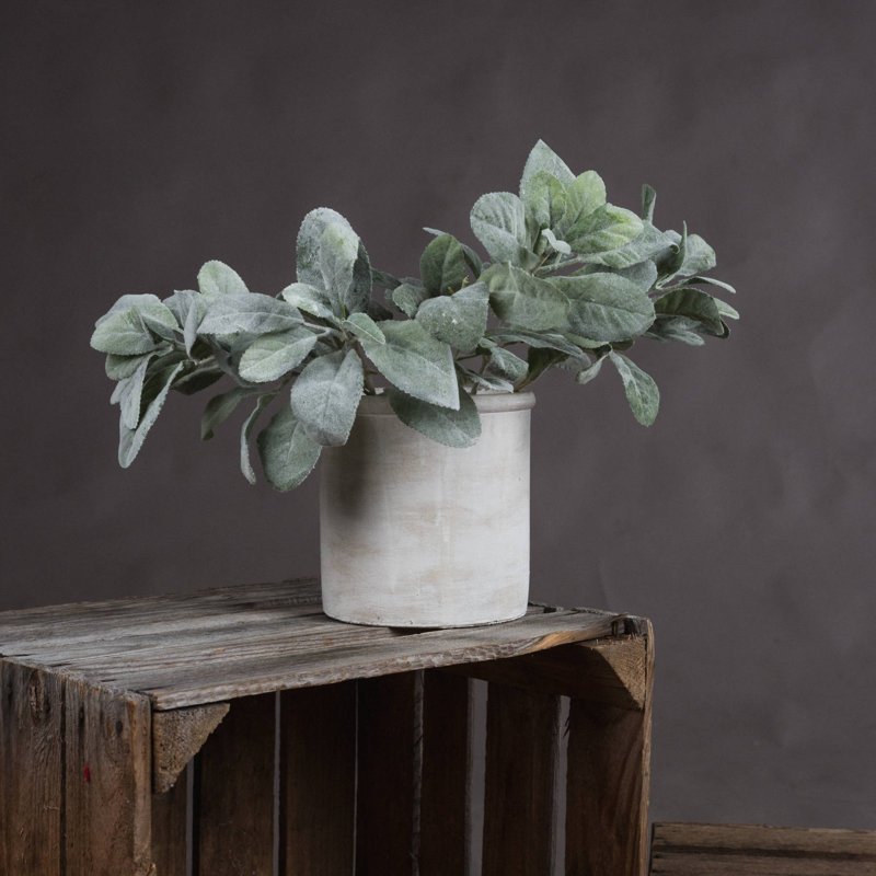 Arrangement