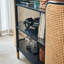 Buffet 53,54 po Caitilin