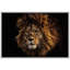 Animaux, safari africain, lion de la jungle sur toile-93629147-93629148