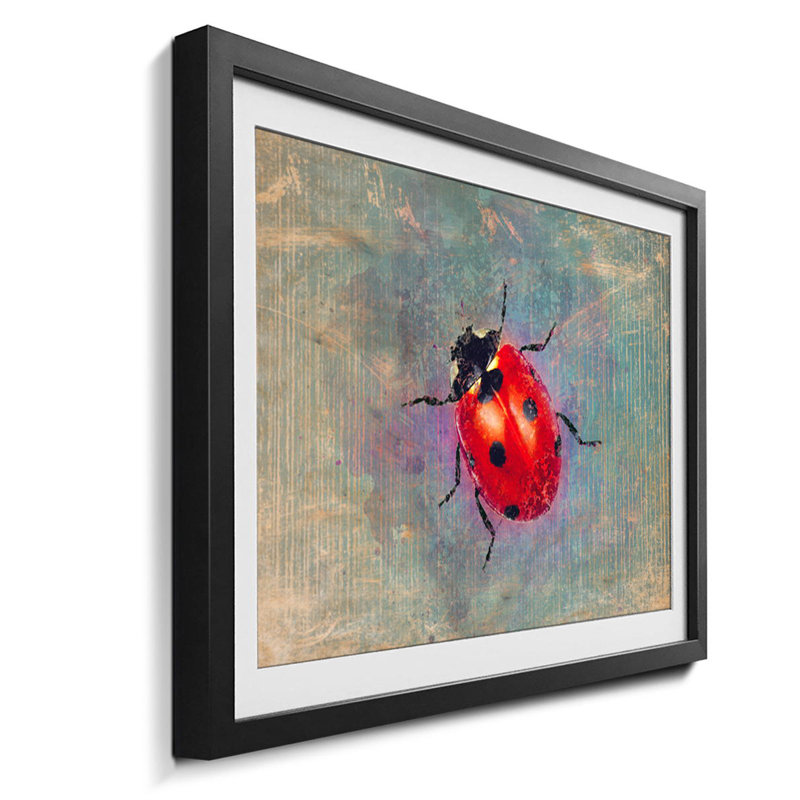 Streetart Ladybug - Single Picture Frame Print, 44cm H x 64cm W x 2.2cm D