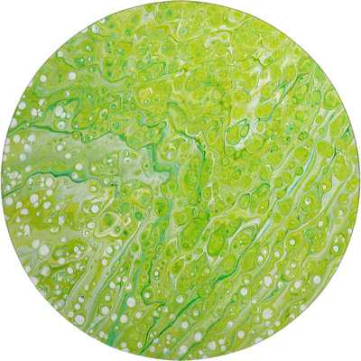Premium Machine Washable Mayfield Clover Rug
