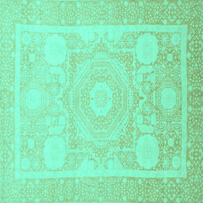 Washable Oriental Indoor Rug