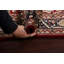 Tapis rouge en laine et en soie noué à la main de conception unique 4 pi 1 po x 6 pi 1 po