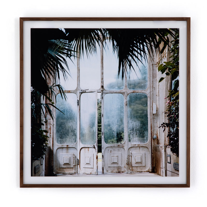 Greenhouse II Print by Annie Spratt, 32" H x 32" W x 2.5" D