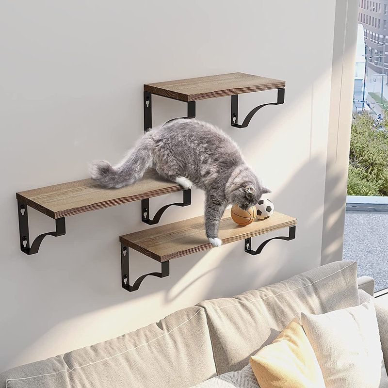 Addiena 3 Piece Paulownia Solid Wood Floating Shelf, Retro Color