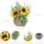 6 plantes