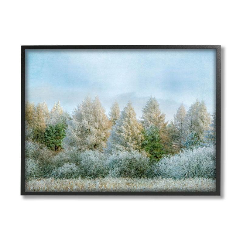 «Woodland Grove Forest Trees», art giclée par Brooke T. Ryan, H 11 po x l 14 po x P 1,5 po, Giclée encadrée noir minuit