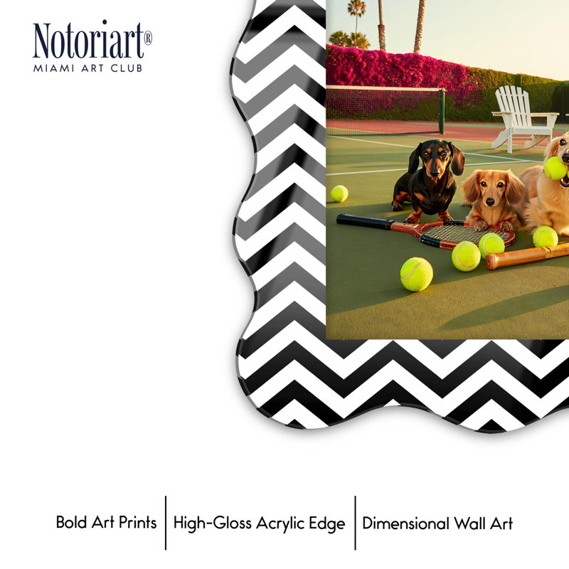 Cadre mural en acrylique Court Canines par NOTORIART, H 18,5 po x l 13,5 po, Courbée, Noir et blanc