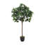 Burkitt 122cm Plant: Lifelike & Zero Maintenance