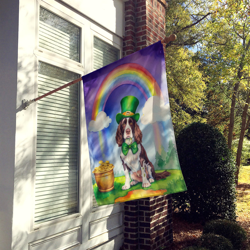 Drapeau double face en polyester H 40 po x l 28 po St Patrick's Day House