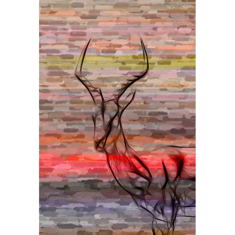 Parvez Taj - Wrapped Canvas Print, 91cm H x 61cm W