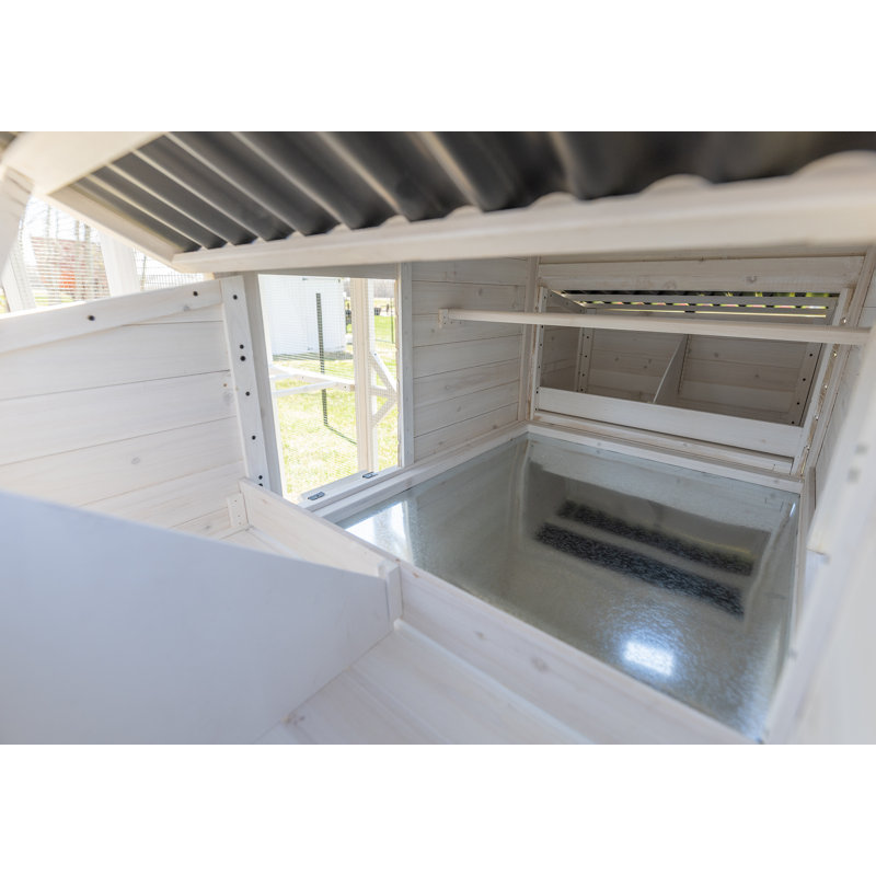 Zylina White Wooden Modern Walk-In Chicken Coop