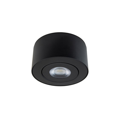 I Spy LED Outdoor Flush Mount