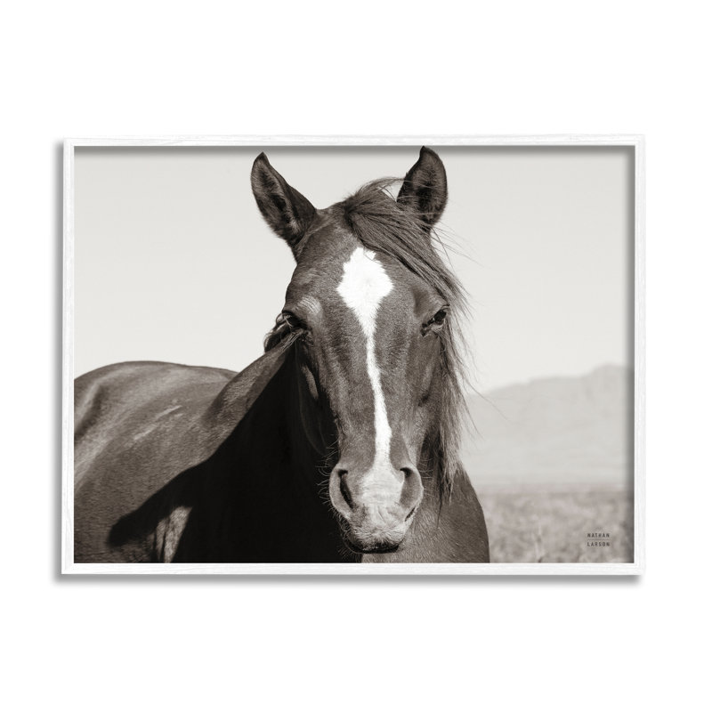 «Stupell Industries Windblown Stallion», art mural sur toile par Nathan Larson, H 11 po x l 14 po x P 1,5 po